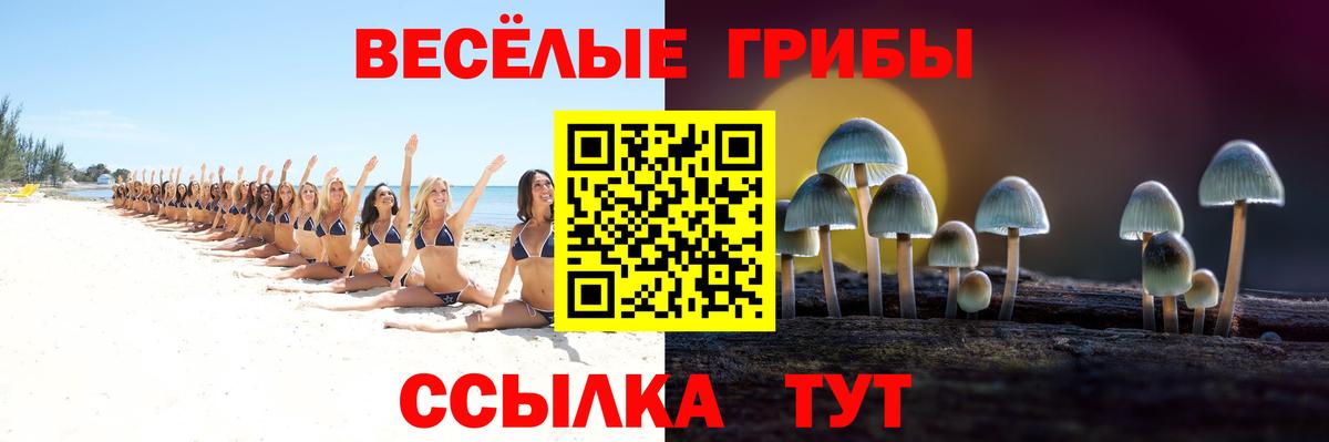 Семилуки  Псилоцибиновые грибы Psilocybe  Вход с VPN 